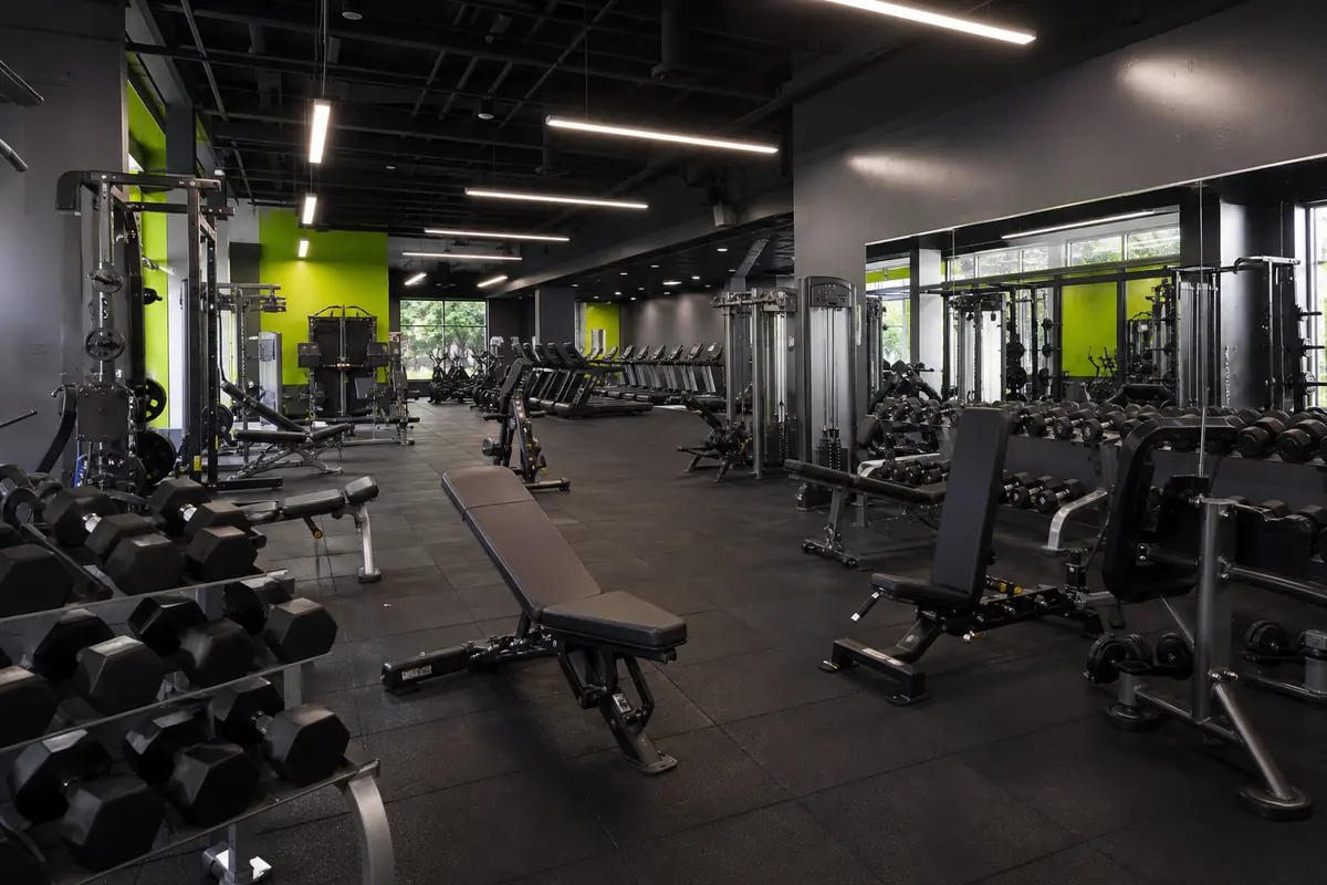 FitZone gym floor